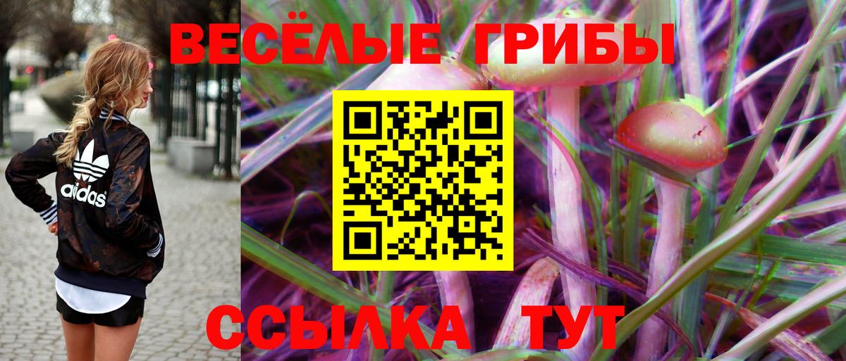 Псилоцибиновые грибы Cubensis Усолье-Сибирское