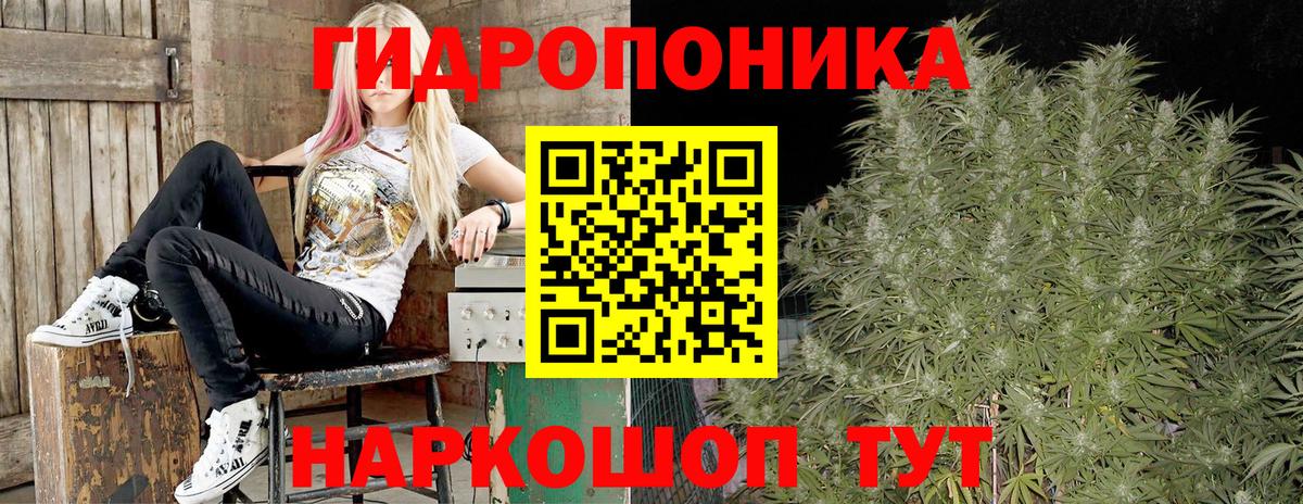 Канабис сатива  Бошки марихуана тримм  Усолье-Сибирское  Вход с VPN  Конопля тримм  Канабис сатива 